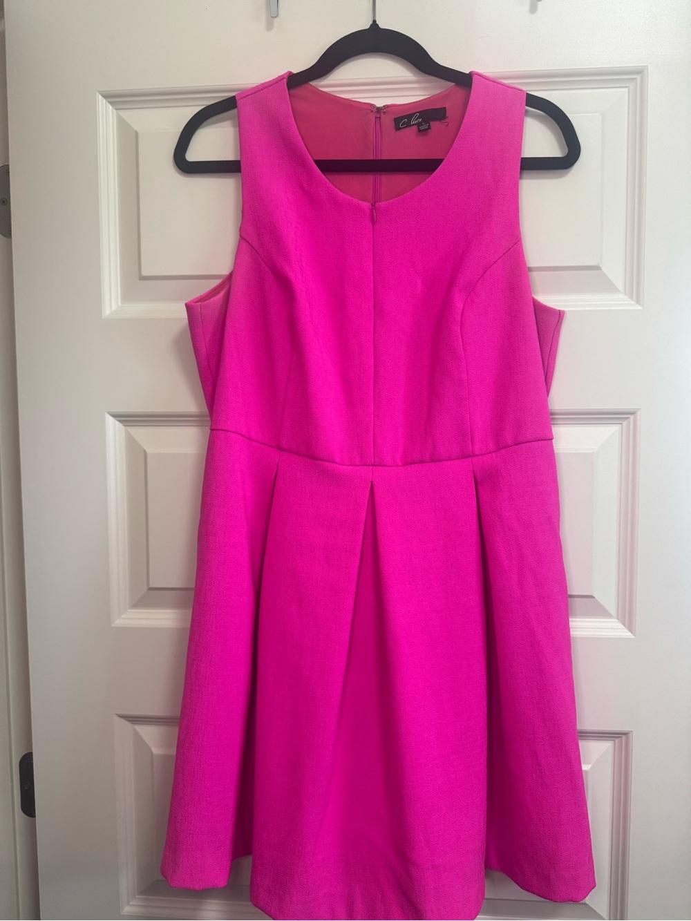 C. Luce Hot Pink Fit-and-Flare Mini Dress